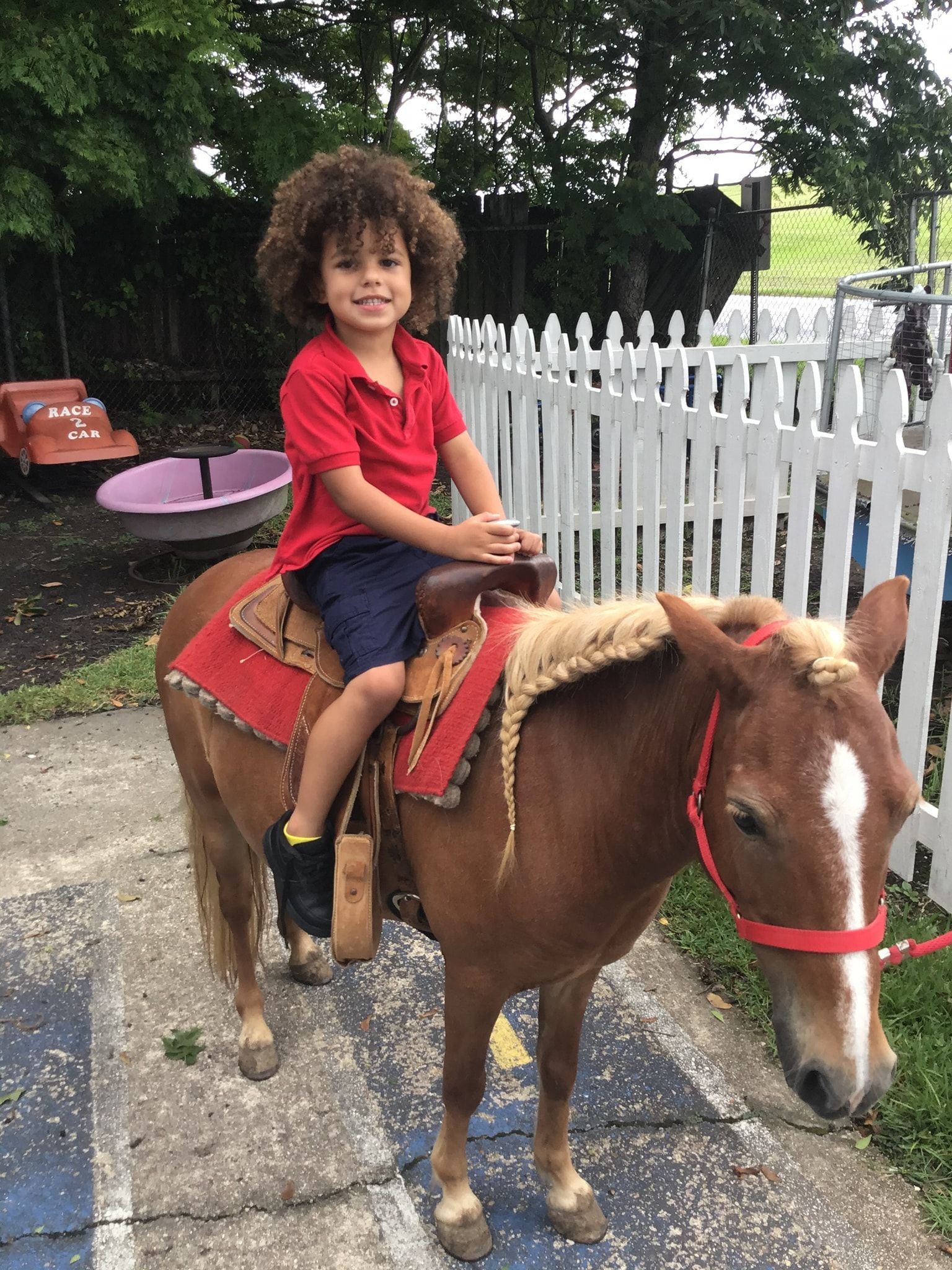 a young boy is riding on the back of a brown pony .