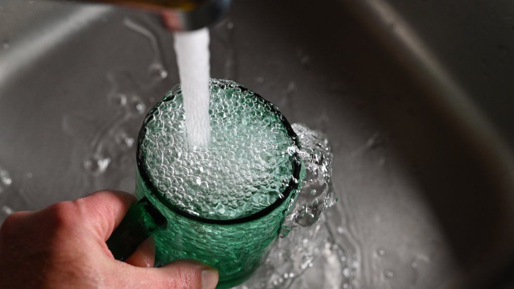 Cup Filling With Water from the Sink