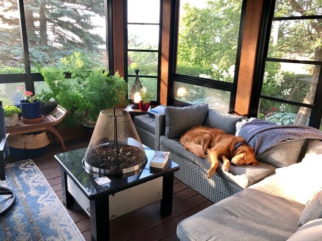 Un chien est allongé sur un canapé dans un salon