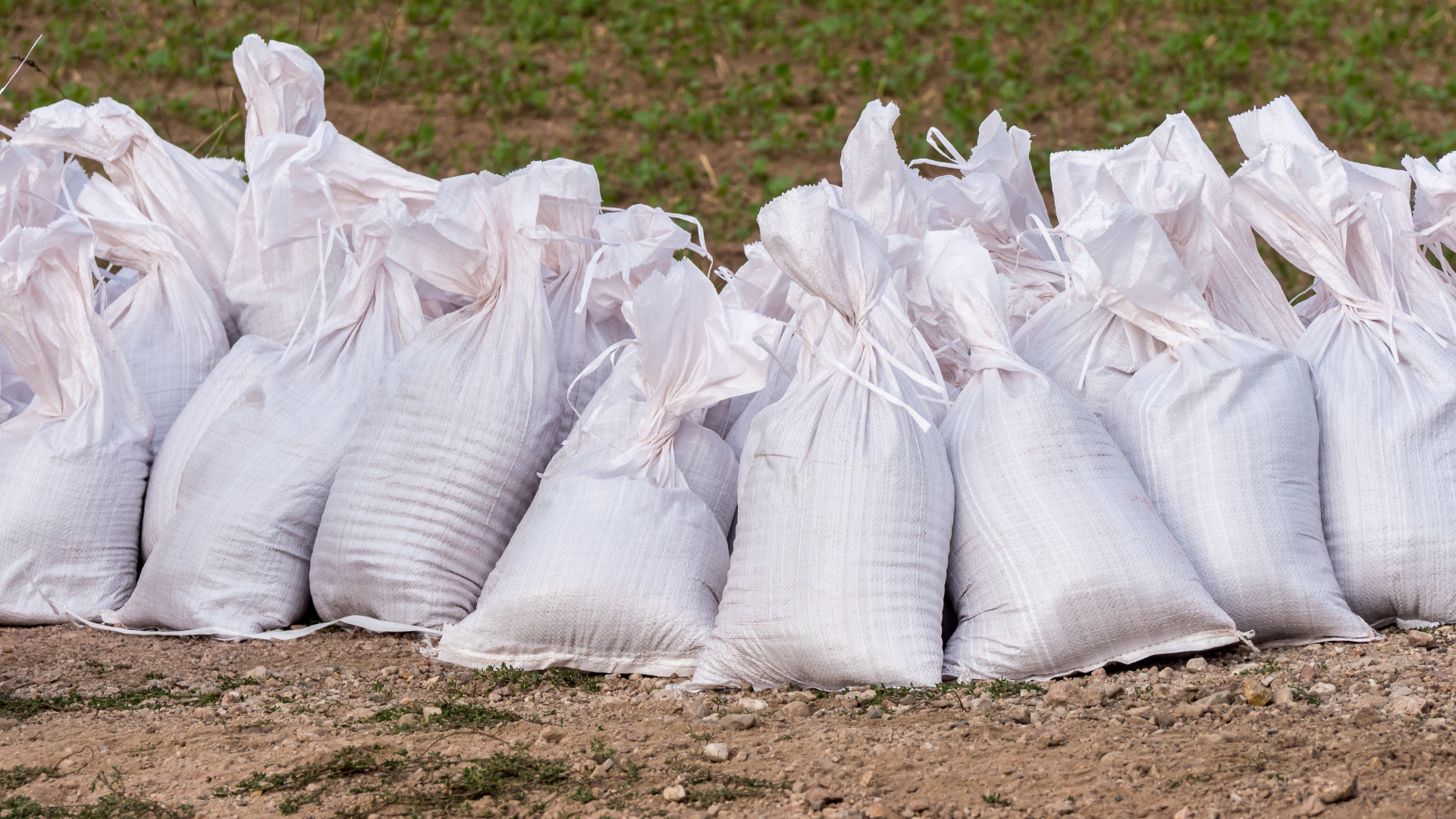 A row of white bags sitting on top of a dirt field.
