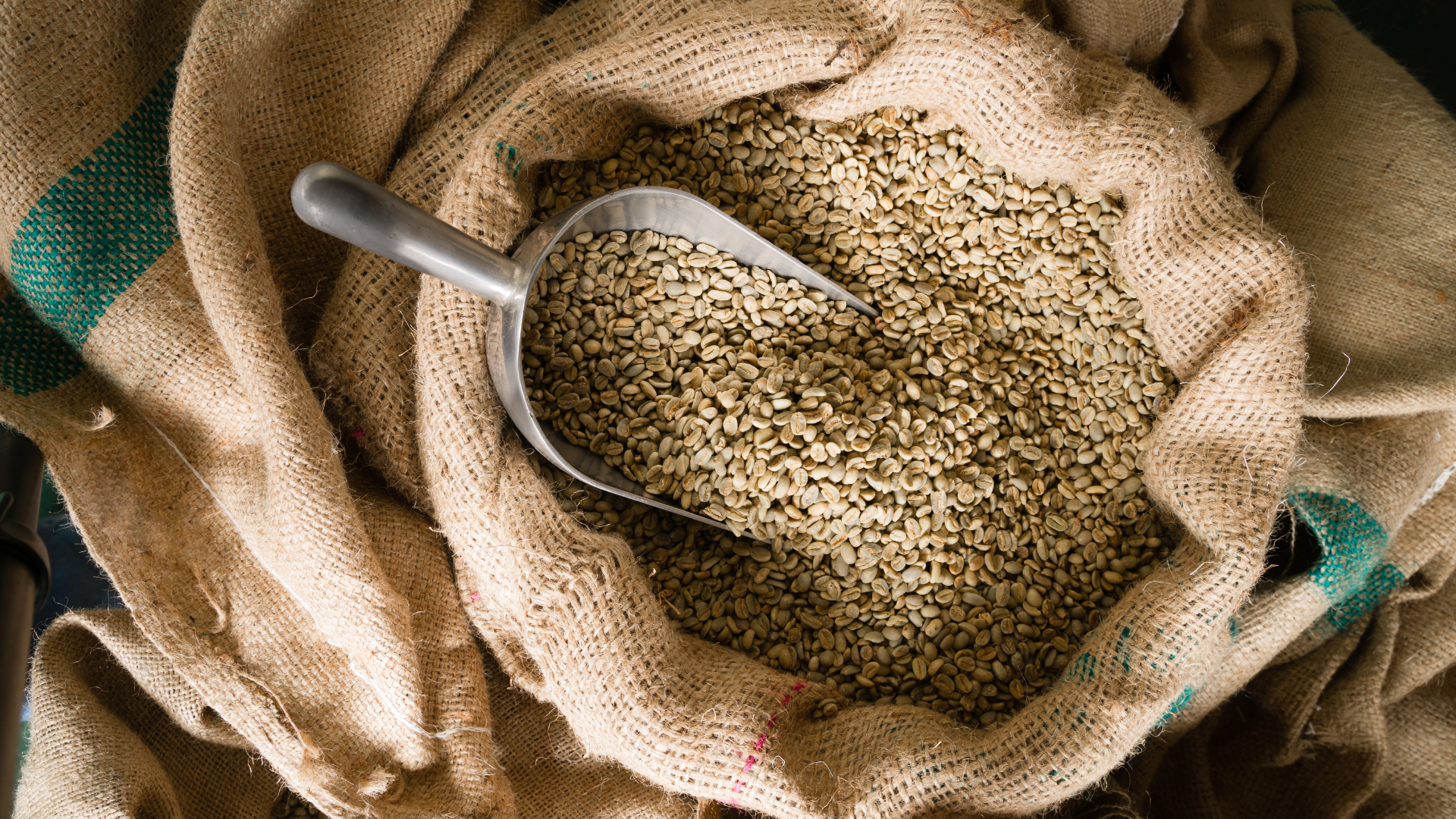 A bag of coffee beans with a scoop in it.