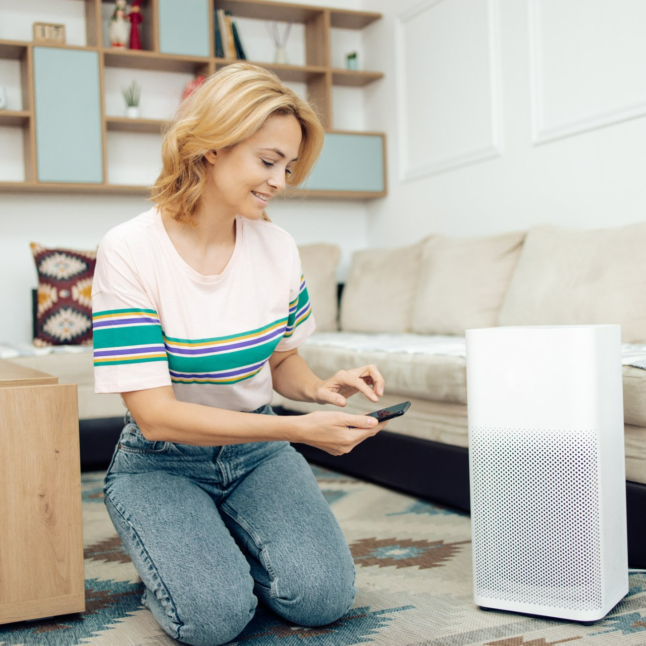 Woman Adjusting A Home Air Cleaner Using A Smart System - Hendersonville, NC - Tucker Heating & Air