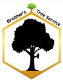 Logo for EverRoot Tree Service: A green tree silhouette above the company name in green and brown text.