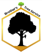 Logo for EverRoot Tree Service: A green tree silhouette above the company name in green and brown text.