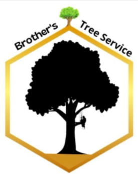 Logo for EverRoot Tree Service: A green tree silhouette above the company name in green and brown text.