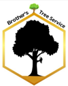 Logo for EverRoot Tree Service: A green tree silhouette above the company name in green and brown text.