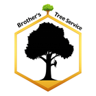 Logo for EverRoot Tree Service: A green tree silhouette above the company name in green and brown text.