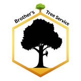 Logo for EverRoot Tree Service: A green tree silhouette above the company name in green and brown text.