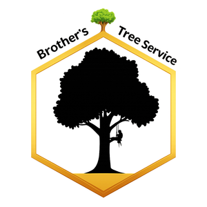 Logo for EverRoot Tree Service: A green tree silhouette above the company name in green and brown text.