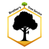 Logo for EverRoot Tree Service: A green tree silhouette above the company name in green and brown text.