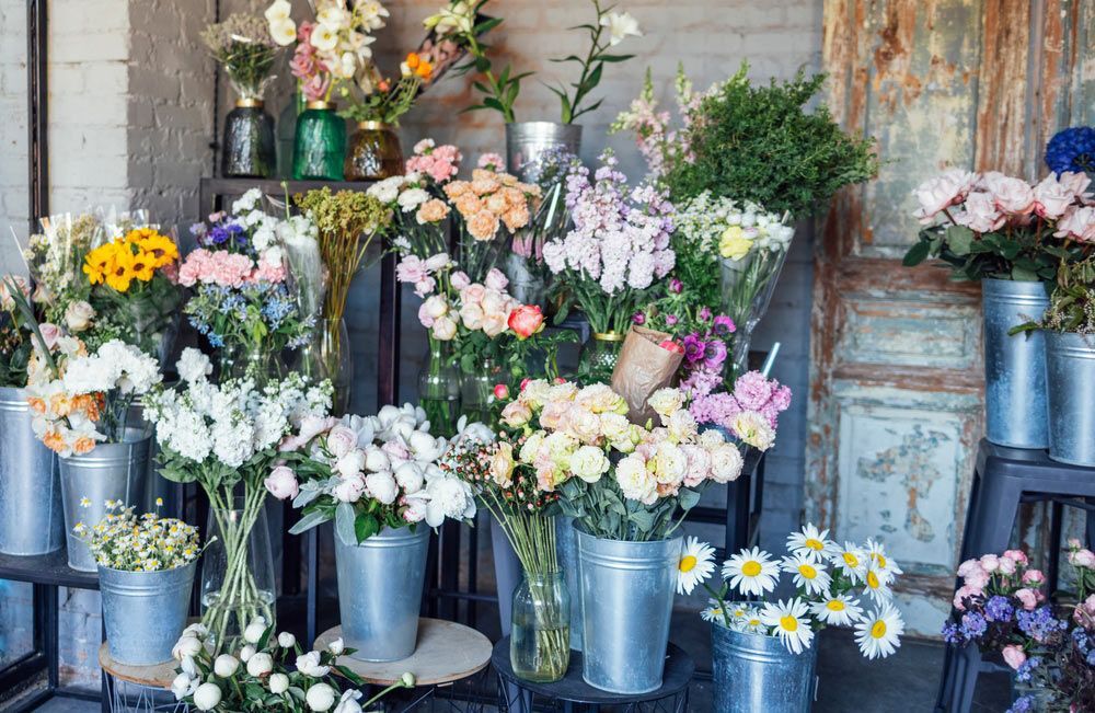A Close up Of a Bouquet of Pink and White Roses on A Gray Background — Pick-A-Bunch Florists & Gifts In Sarina, QLD