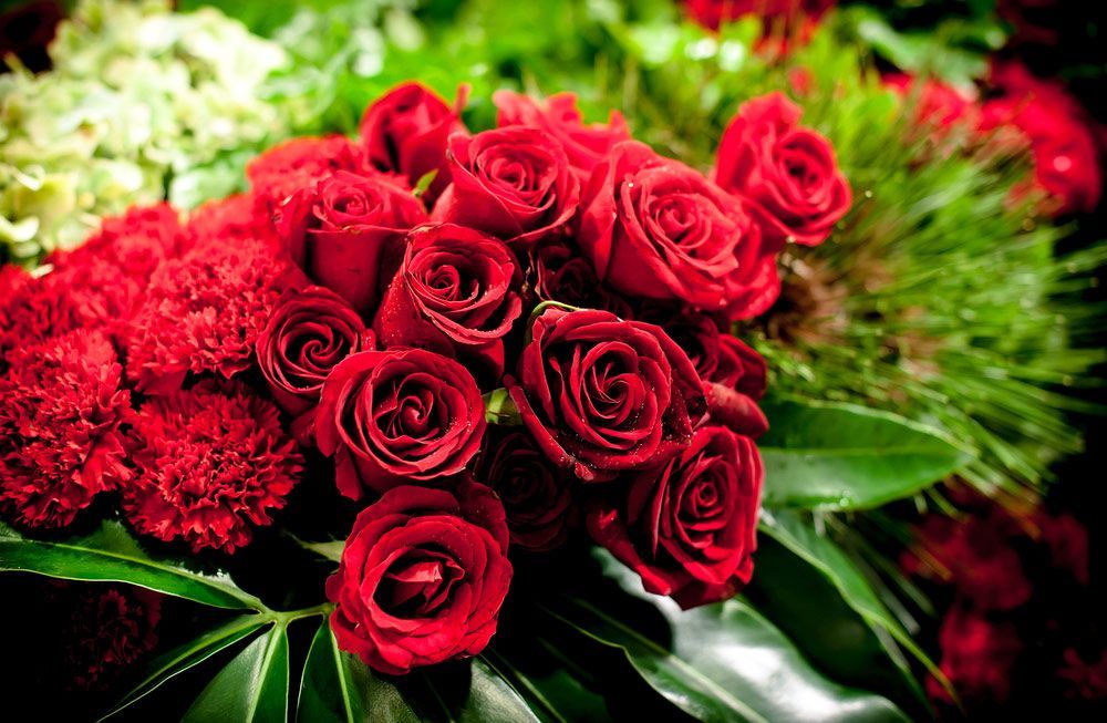A Bunch of Red Roses and Carnations — Pick-A-Bunch Florists & Gifts In Alligator Creek, QLD