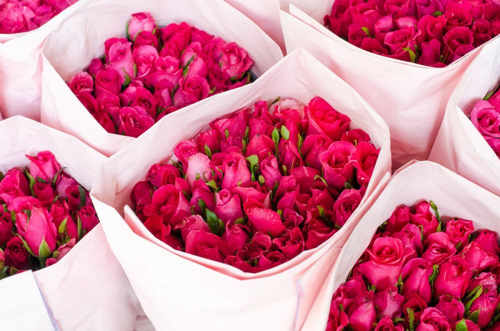 A Bunch of Pink Roses Wrapped in Pink Paper — Pick-A-Bunch Florists & Gifts In Armstrong Beach, QLD