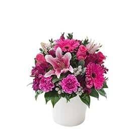 A Vase Filled with Pink Flowers on A White Background — Pick-A-Bunch Florists & Gifts In Sarina, QLD