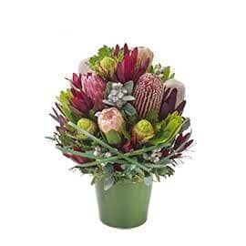 A Green Pot Filled with Flowers on A White Background — Pick-A-Bunch Florists & Gifts In Sarina, QLD