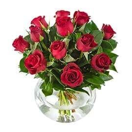A Vase Filled with Red Roses and Green Leaves on A White Background — Pick-A-Bunch Florists & Gifts In Sarina, QLD