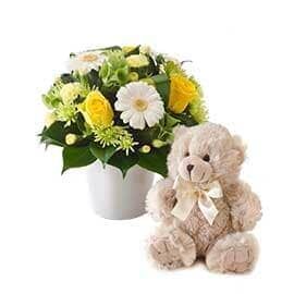 A Teddy Bear Is Sitting Next to A Vase of Flowers — Pick-A-Bunch Florists & Gifts In Sarina, QLD