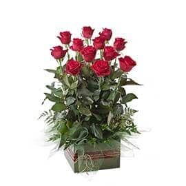A Vase Filled with Red Roses and Greenery on A White Background — Pick-A-Bunch Florists & Gifts In Sarina, QLD