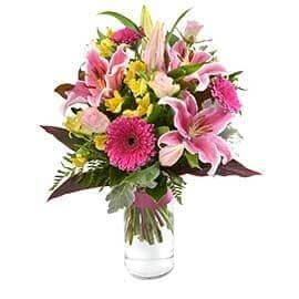 A Vase Filled with Pink and Yellow Flowers on A White Background — Pick-A-Bunch Florists & Gifts In Sarina, QLD