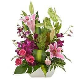 A Vase Filled with Pink and Purple Flowers on A White Background — Pick-A-Bunch Florists & Gifts In Sarina, QLD