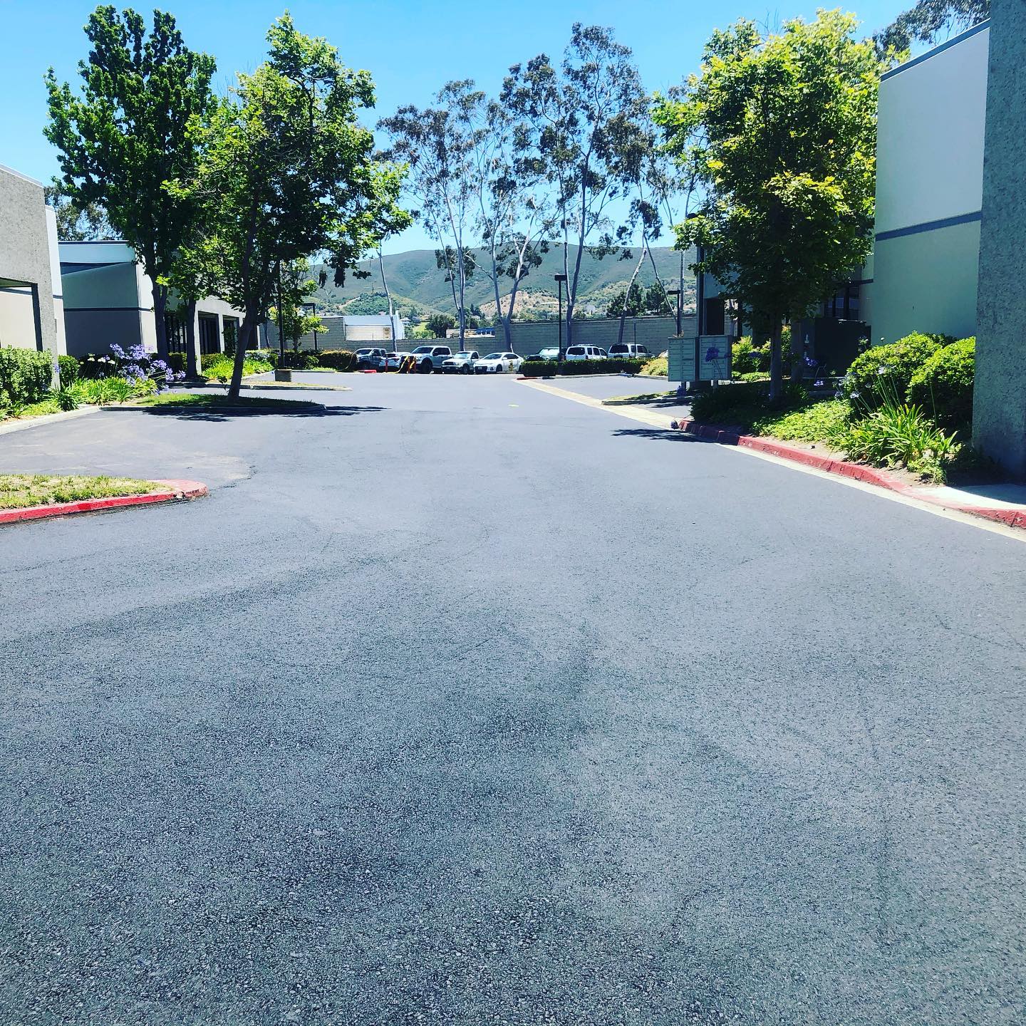 Smooth asphalt paving with trees in the distance in Delmar, CA.