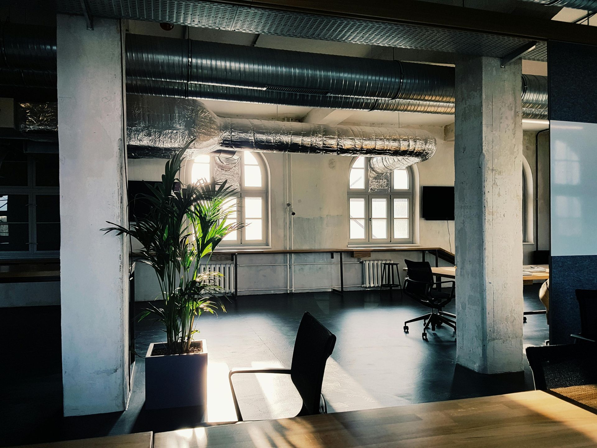 Empty office interior with concrete columns, desks, and a potted plant by bright windows