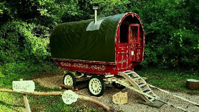 Glamping, Tree Houses and Camping