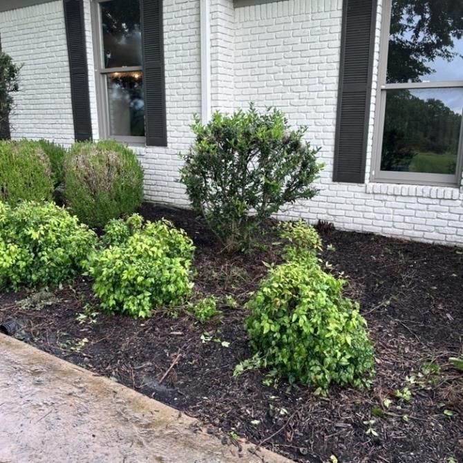 A woman is raking leaves in a garden with a rake.
