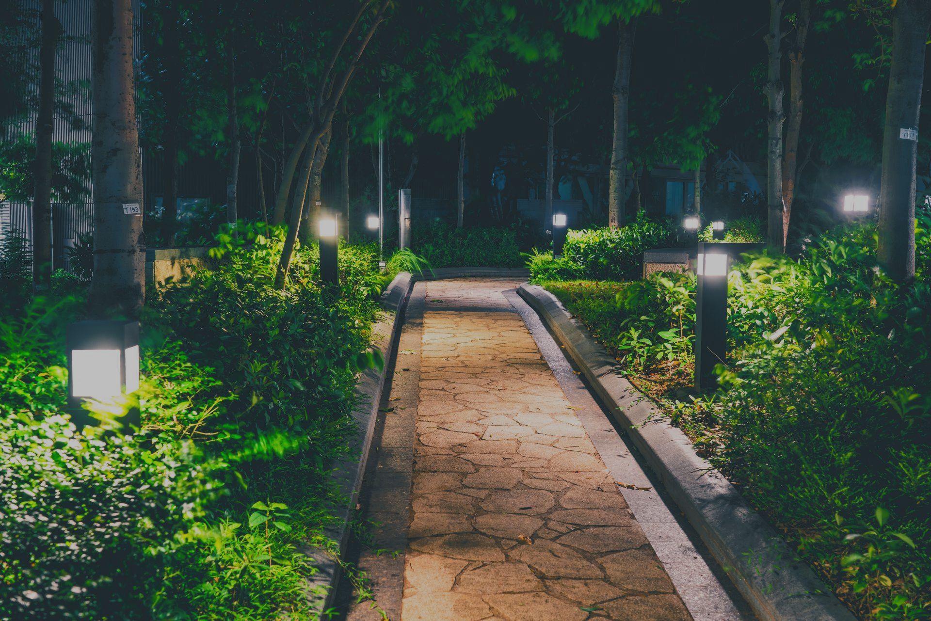 A stone path in the middle of a forest at night.