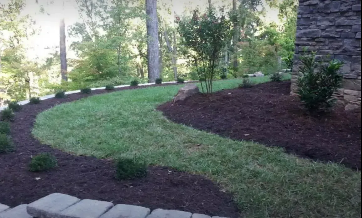 A lush green lawn with a stone walkway surrounded by trees and mulch.