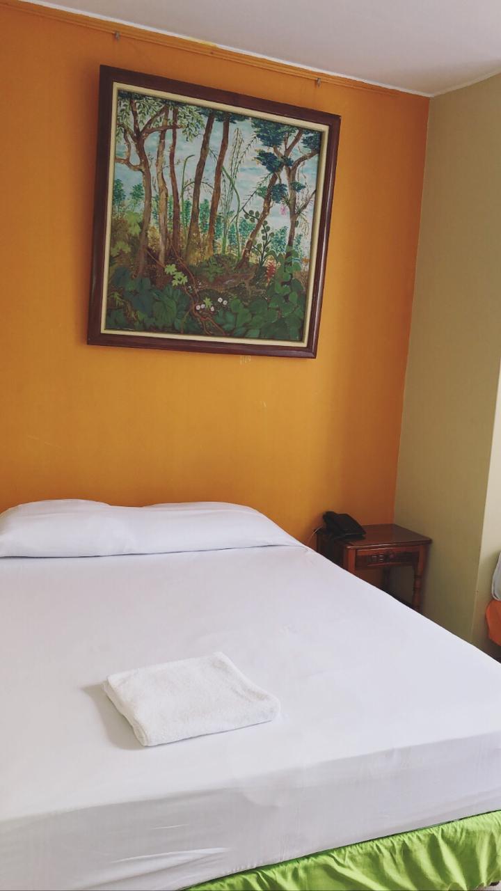 Encima de la cama hay una pintura en la pared