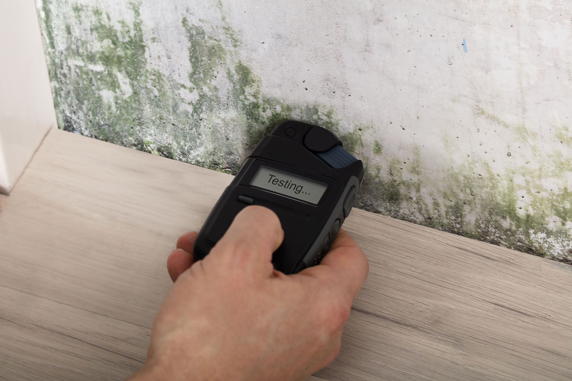 Handheld moisture meter checking a damp, moldy wall near the floor.