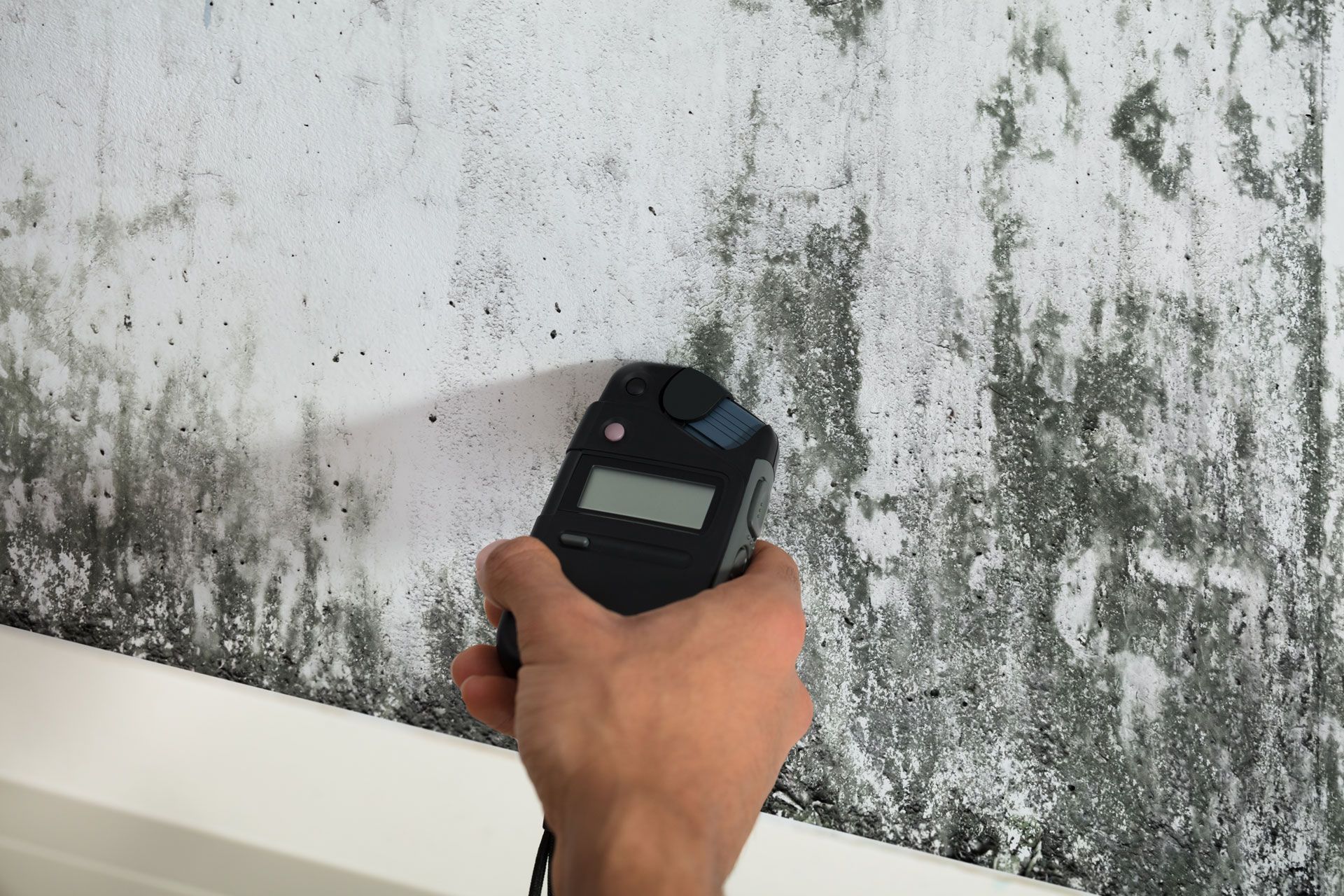 Hand holding a handheld meter toward a moldy, stained wall above a white ledge