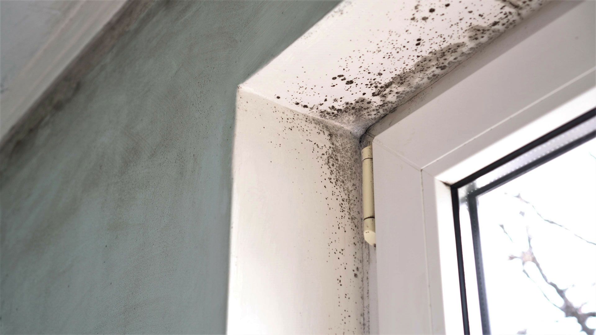 Mold spots on a white window frame and wall corner near a cracked window