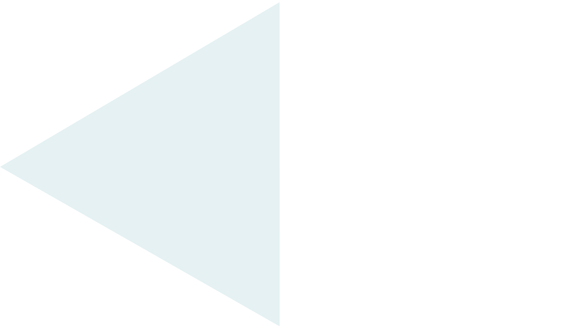 Light blue left-pointing triangle on a white background