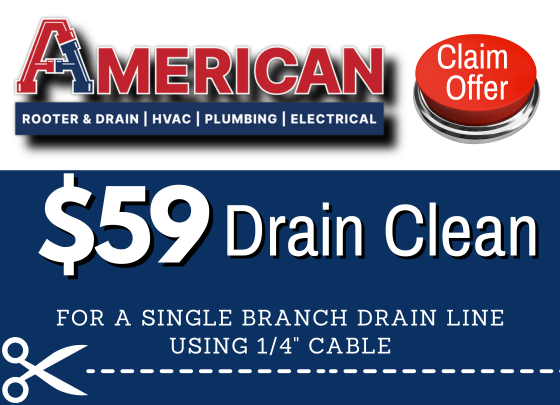 Coupon for $59 Drain Clean on a single branch