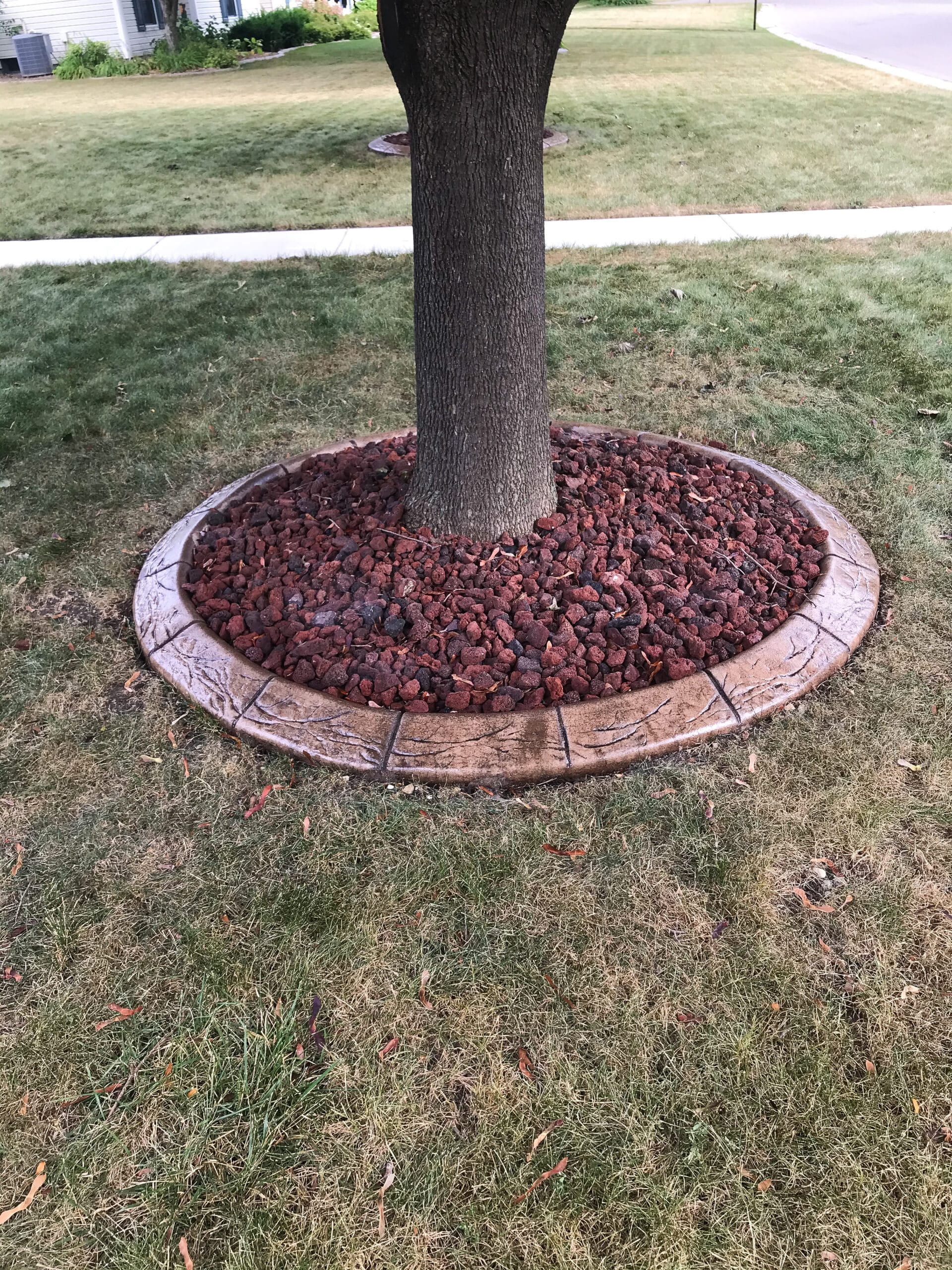 Concrete Curb in A Tree — Appleton, WI — Vargas Curb