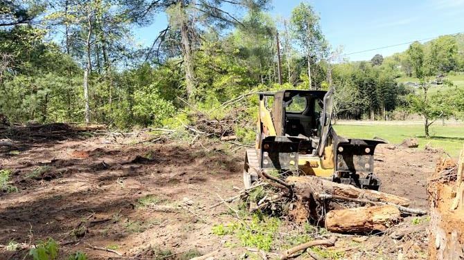 A bulldozer is cutting down trees in a forest.