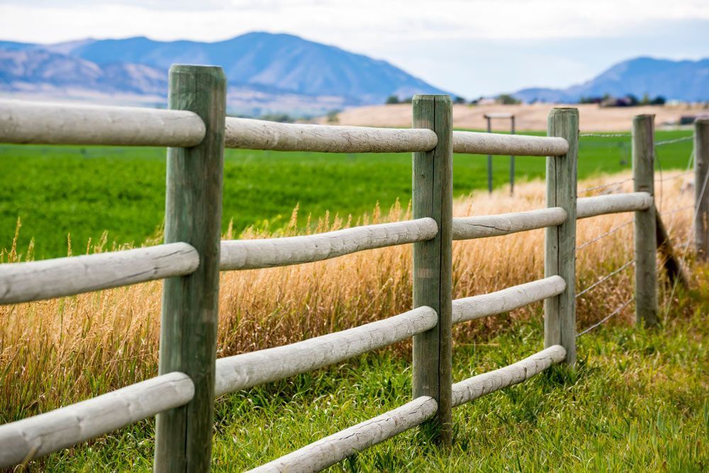 Wooden Agricultural Fencing — Lawrence Williams Fencing in Goolmangar, NSW