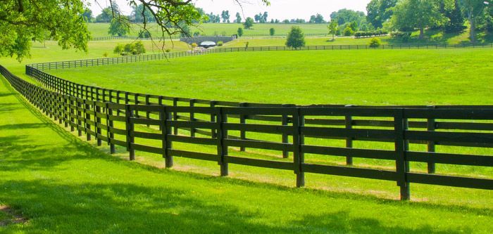 A Wooden Fence Surrounds A Lush Green Field — Lawrence Williams Fencing in Goolmangar, NSW