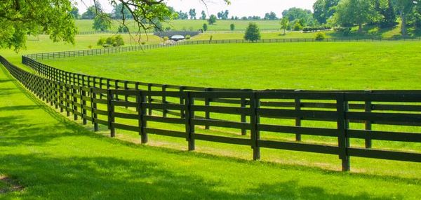 A Wooden Fence Surrounds A Lush Green Field — Lawrence Williams Fencing in Goolmangar, NSW
