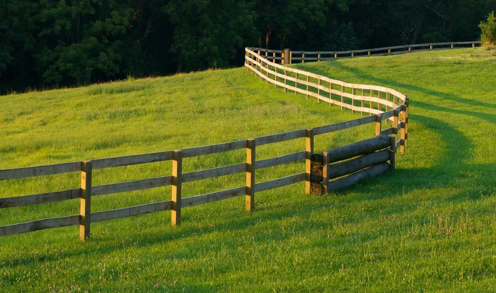 A Long Wooden Fence Winds Through A Grass Filled — Lawrence Williams Fencing in Goolmangar, NSW