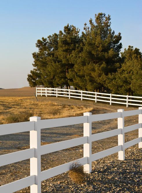 A Field With Trees In The Distance Is Bordered By A White Fence — Lawrence Williams Fencing in Goolmangar, NSW