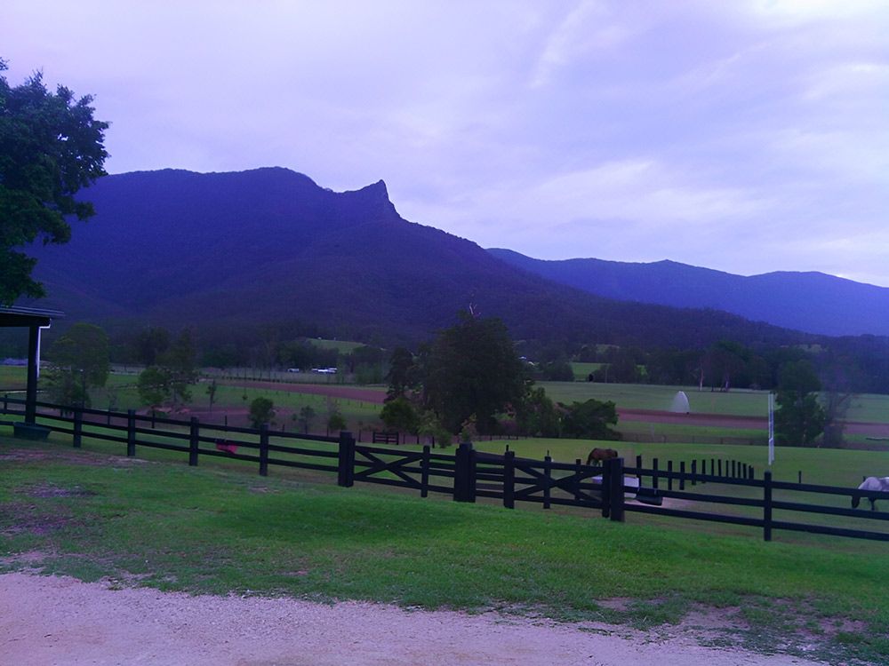 Farm With Black Fence With Horse And Mountain In The Background — Lawrence Williams Fencing in Goolmangar, NSW