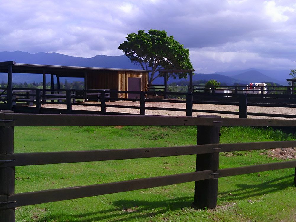 A Wooden Fence Surrounds A Grassy Field With Mountains — Lawrence Williams Fencing in Goolmangar, NSW