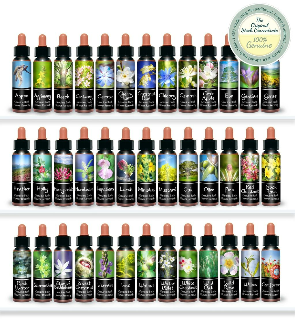 A shelf full of bottles with flowers on them