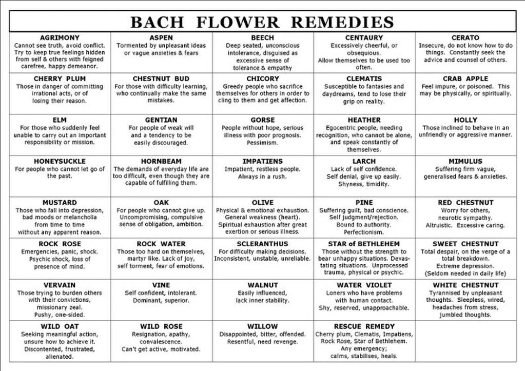 A list of bach flower remedies on a white background