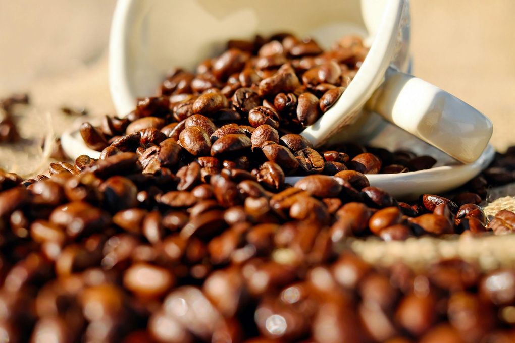 Overturned white mug spilling roasted coffee beans on a wooden surface.