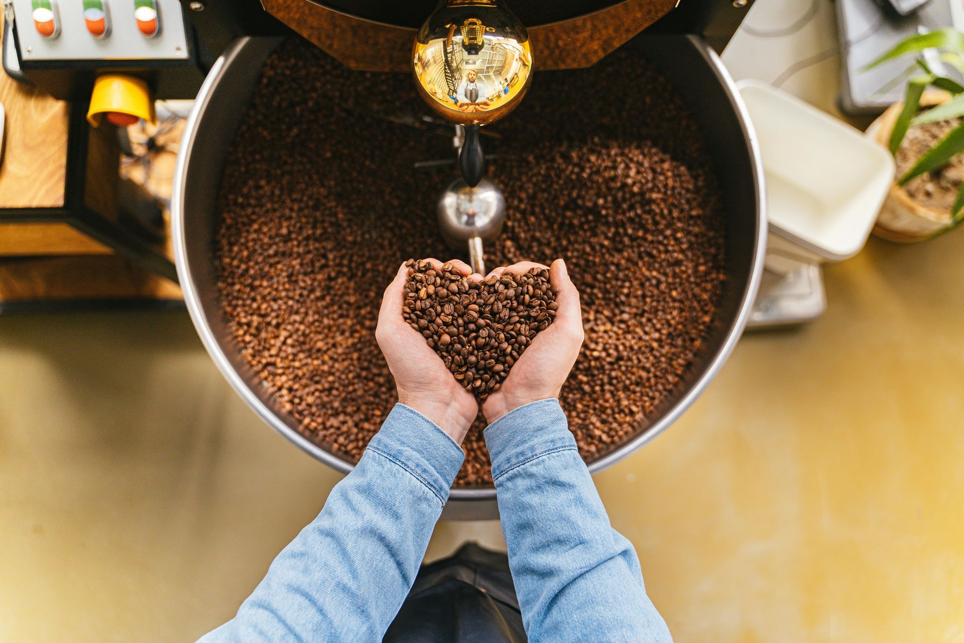 Hands holding roasted coffee beans shaped like a heart, with a roaster in the background.