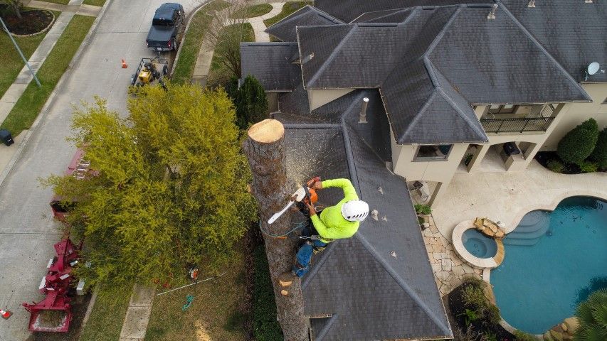 Arborist cutting a tree limb on a roof with a chainsaw near a swimming pool and luxury house.